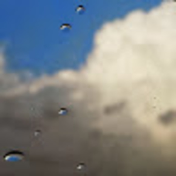 Meet your Posher, Silvie - Picture 1 of 1